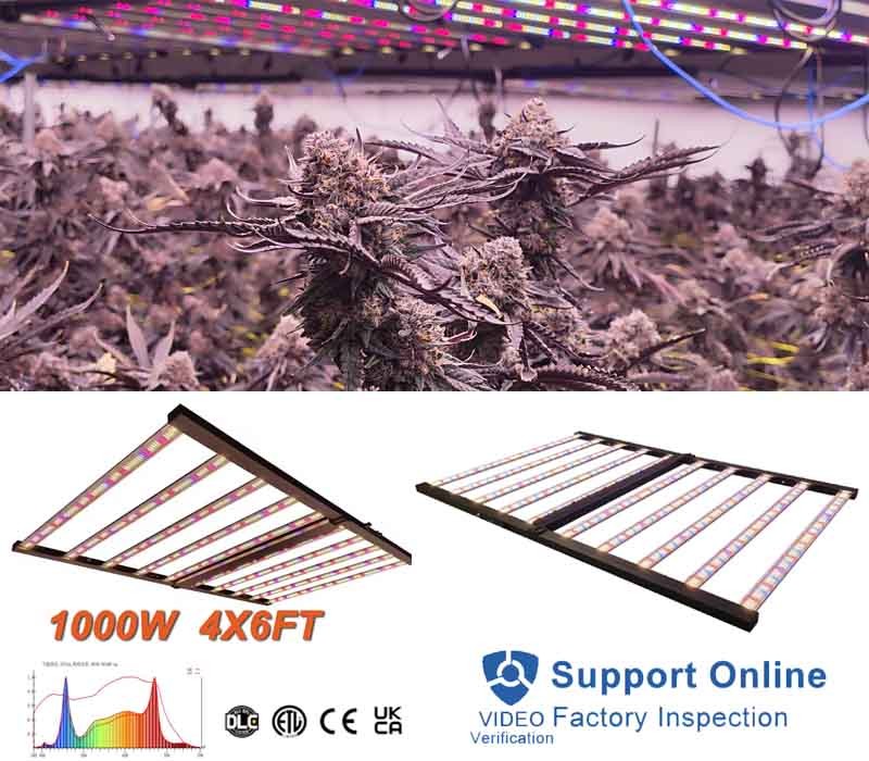 A 1000 watt full spectrum LED grow light with six bars, shown from two angles, rated for a 4 by 6 ft canopy