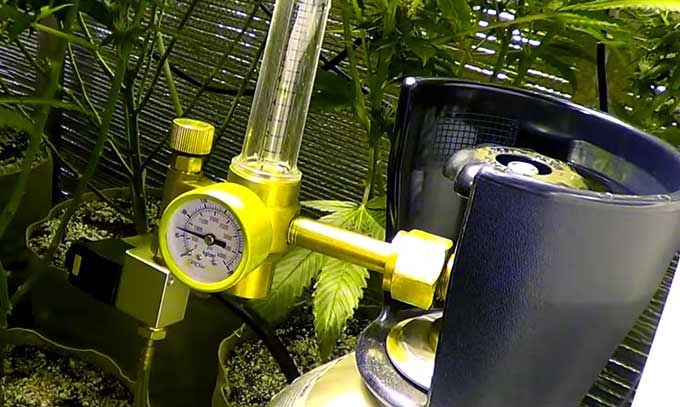 Regulador de CO₂ embotellado con manómetro y caudalímetro alimentando una línea hacia el dosel