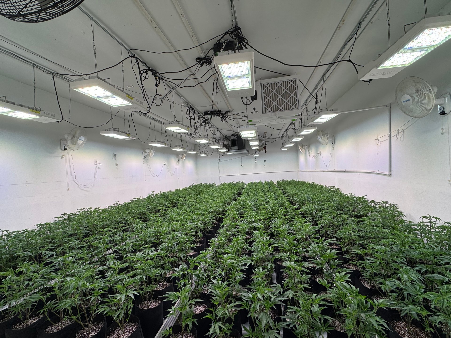 LED Module application in greenhouse