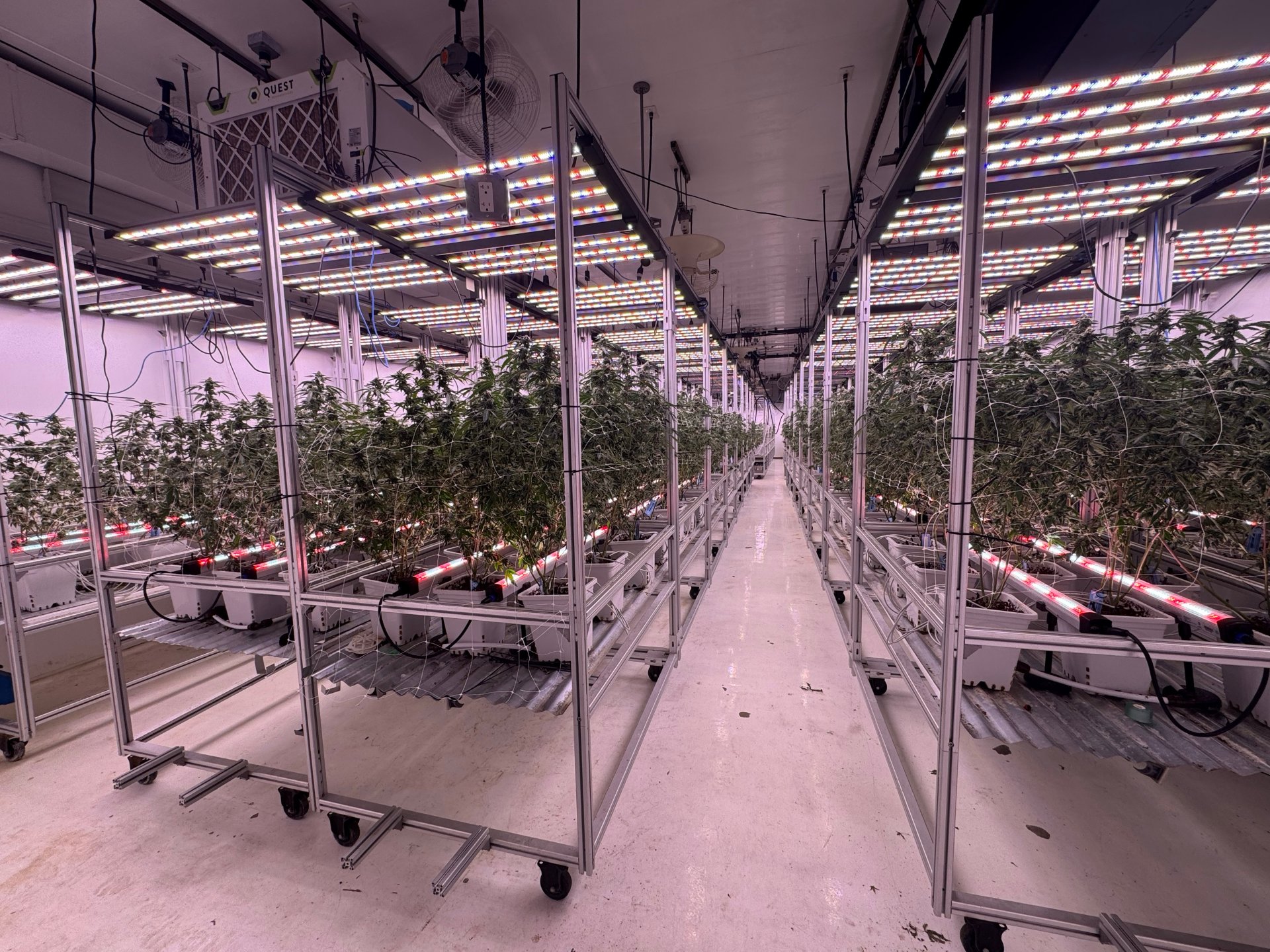 Mobile vertical racks with under-canopy bars between tiers