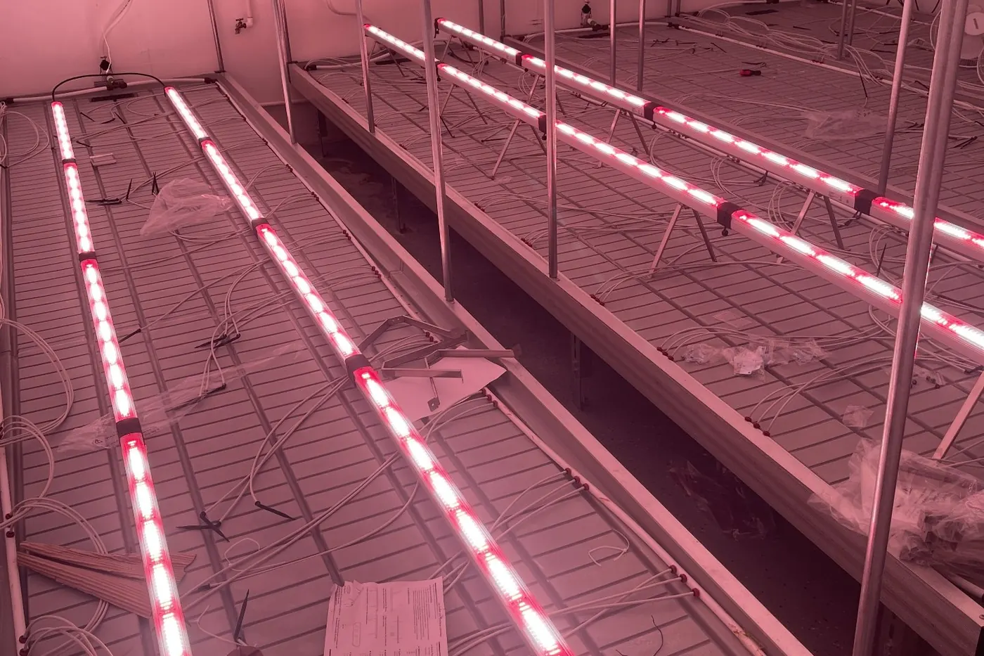 Under-canopy LED bars mounted beneath empty grow benches in a commercial flower room, photographed before planting
